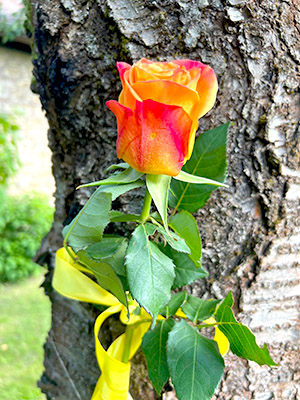ZONTA Club Neustadt a.d. Weinstraße